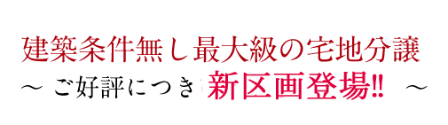 建築条件無し最大級の宅地分譲～～ご好評につき新区画　分譲開始